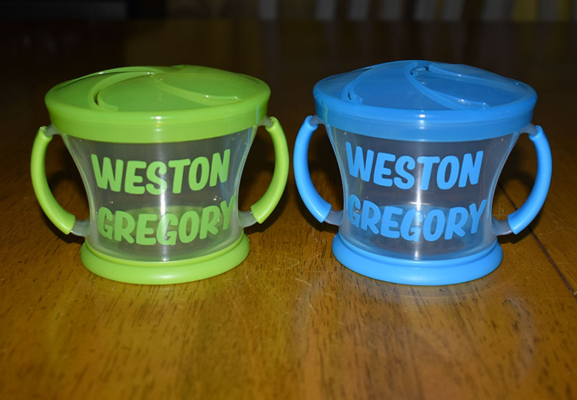 weston gregory snack cups