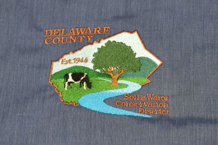 dcsw-closeup-2.jpg