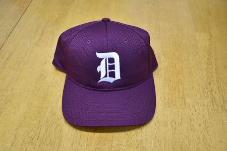 delhi-little-league.jpg