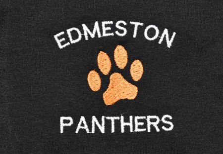 edmeston-panthers-1-closeup.jpg