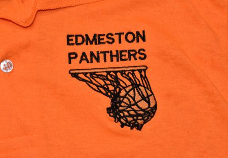 edmeston-panthers-2-closeup.jpg