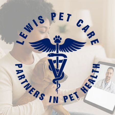 lewis pet care min