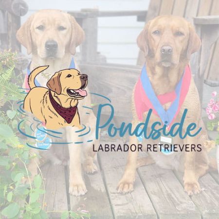 pondside retrievers min