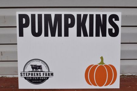 stephens-farm-pumpkins.jpg