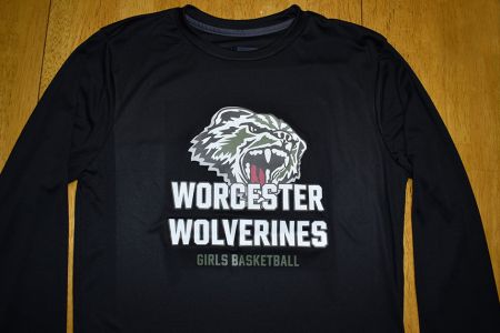 wcs-basketball-2.jpg